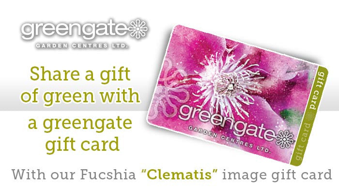 
                  
                    Fuchsia "Clematis" Image - greengate Gardening Gift Card
                  
                