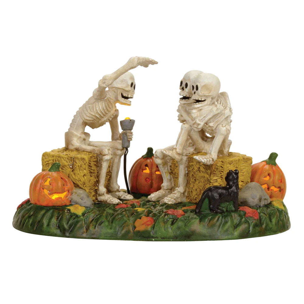 D-56 Collectible: Scary Skeleton Stories