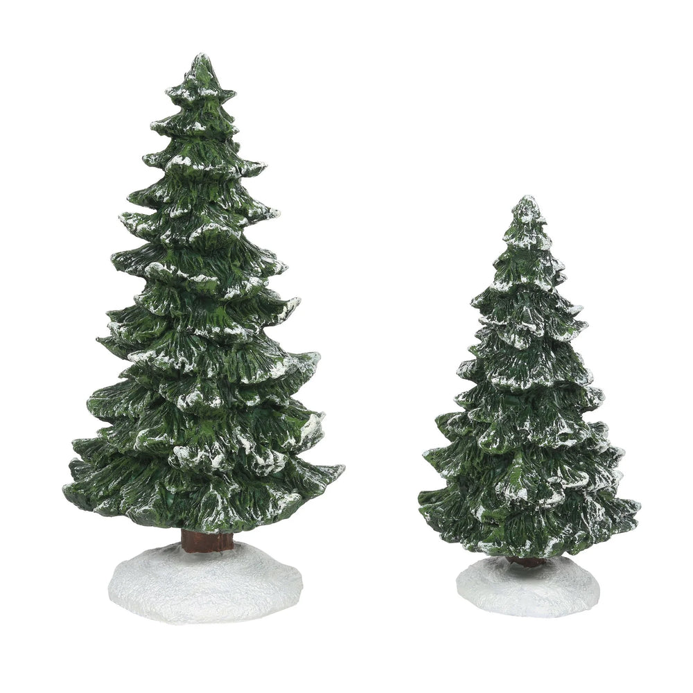 D-56 Village Tree: Christmas Spruces