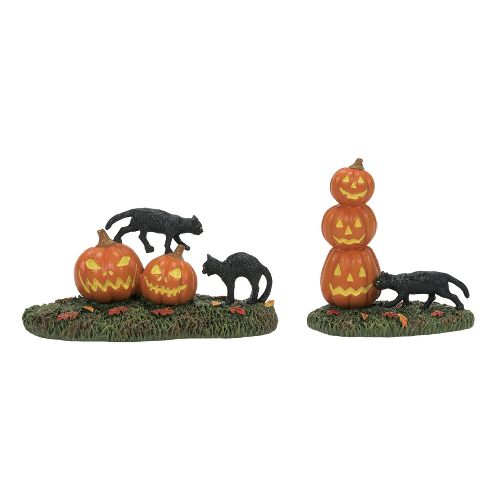 D-56 Halloween Collectible: Scary Cats Pumpkins