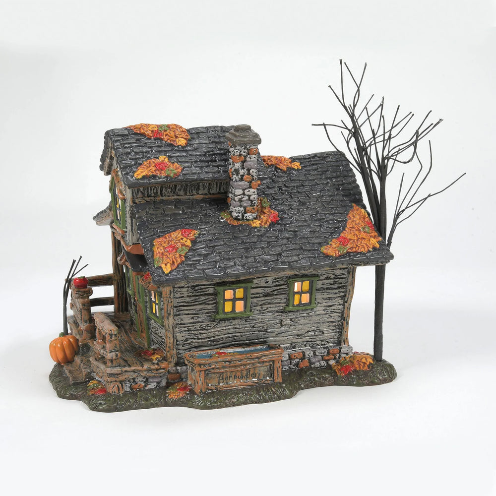 
                  
                    D-56 Halloween Collectible: Ichabod Crane's House
                  
                