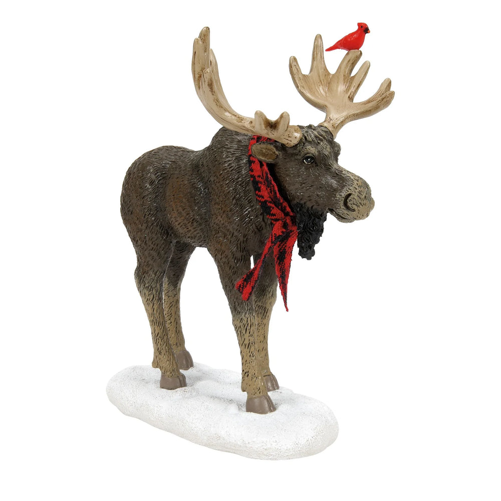 D-56 Village Accessory: Cardinal Merry ChristMOOSE