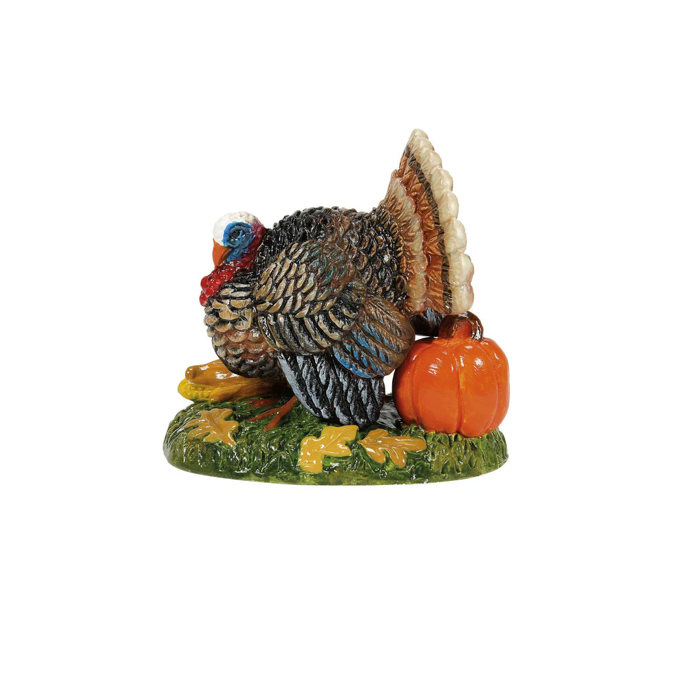 D-56 Halloween Collectible: Tom Turkey