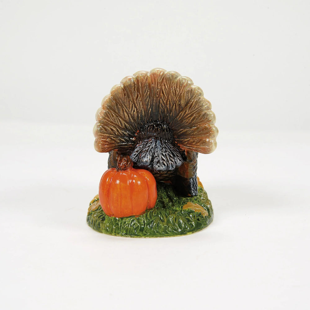 
                  
                    D-56 Halloween Collectible: Tom Turkey
                  
                