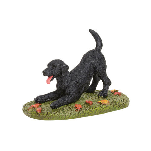 D-56 Village Accessory: Harvest Playful Black Lab