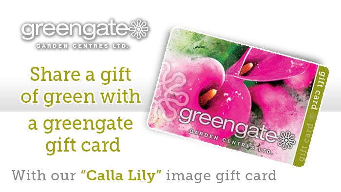 
                  
                    "Calla Lily" image - greengate Gardening Gift Card
                  
                