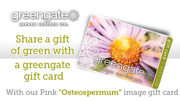 
                  
                    Pink "Osteospermum" Image - greengate Gardening Gift Card with card holder
                  
                