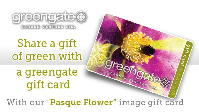 
                  
                    "Pasque Flower" Image - greengate Gardening Gift Card with card holder
                  
                