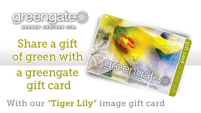 
                  
                    "Tiger Lily" Image - greengate Gardening Gift Card
                  
                