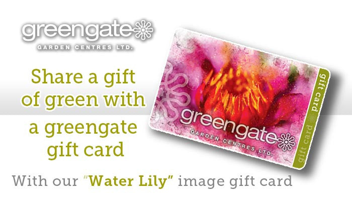 
                  
                    "Water Lily" greengate Gardening Gift Card
                  
                